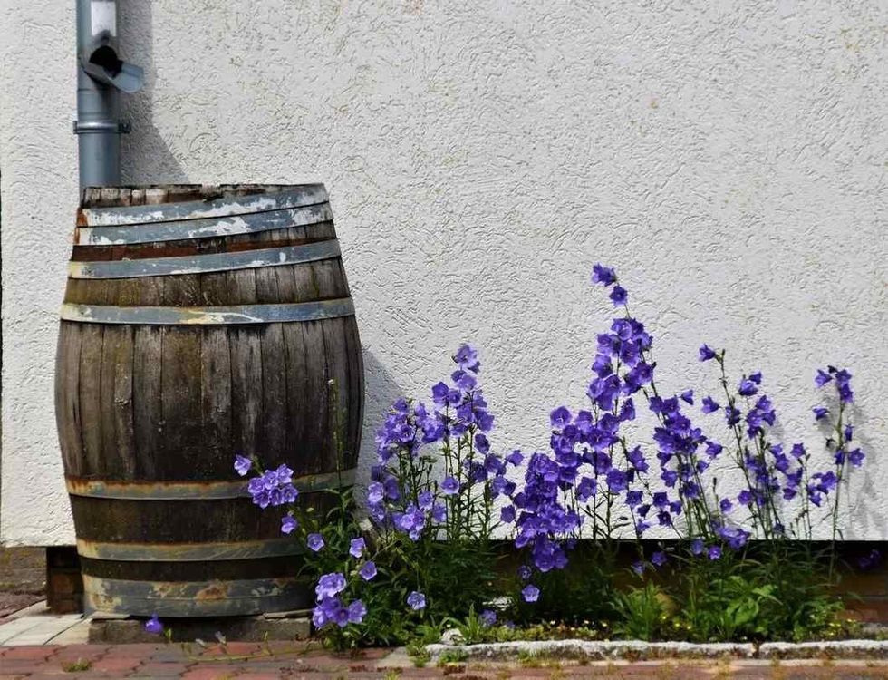purpose behind rainwater harvesting is collecting rainwater