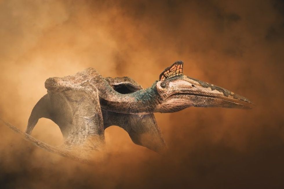 Quetzalcoatlus dinosaur on smoke background