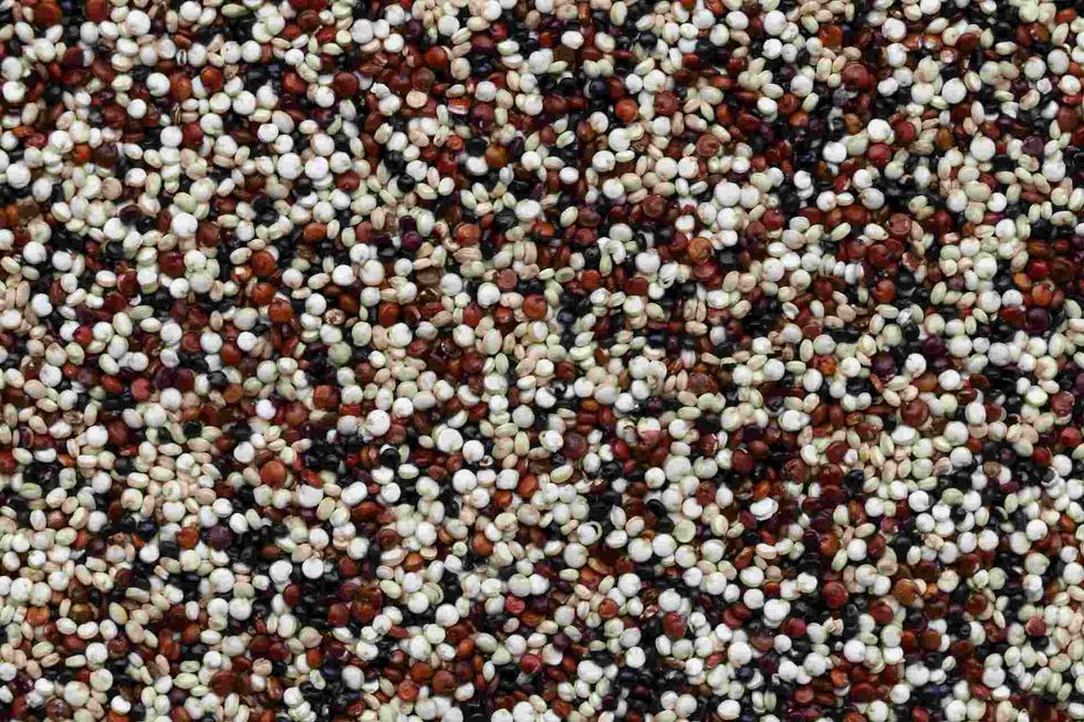 Quinoa or chenopodium quinoa is a gluten-free