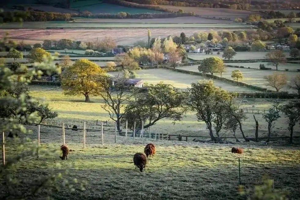 Quotes about country life are simple yet meaningful.