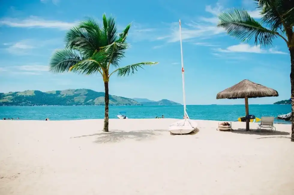 Quotes about summer happiness, tropical rainforest, and beach should be joyous.