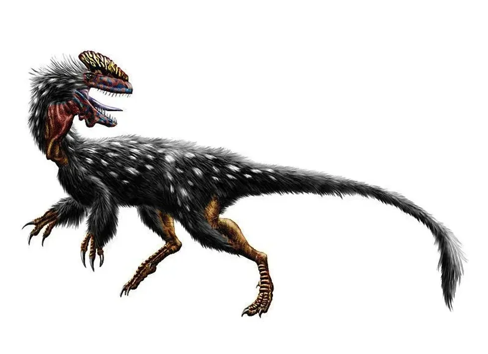 Read about Guanlong facts to know these crown dragons from China.