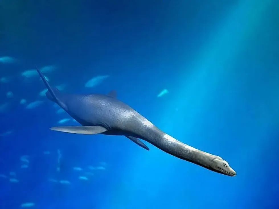 Read about the Kimmerosaurus facts to learn about these marine reptilia from the English Upper Jurassic period.