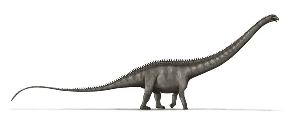Read about the Supersaurus facts to know these dinosaurs from the Morrison Formation.