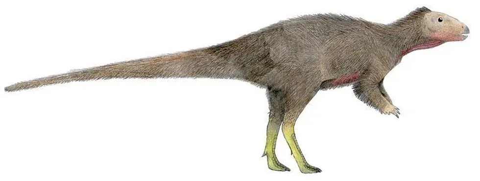 Read about Trinisaura facts to know this small-length dinosaur from Antarctica.