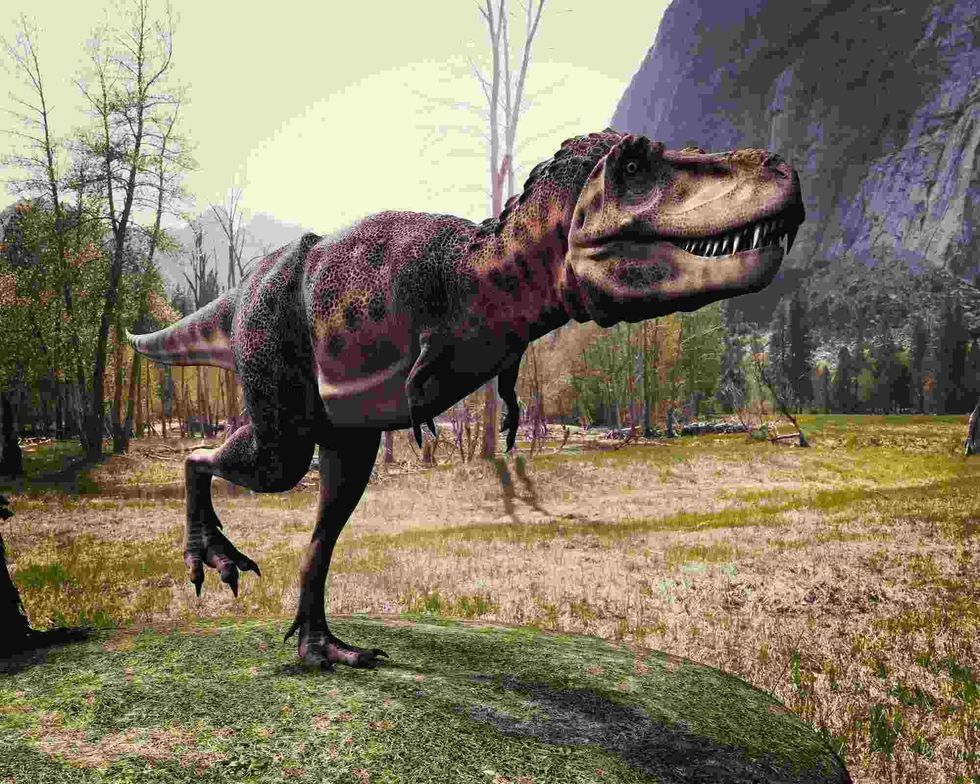Read all bout the habitat and size of Tarbosaurus.
