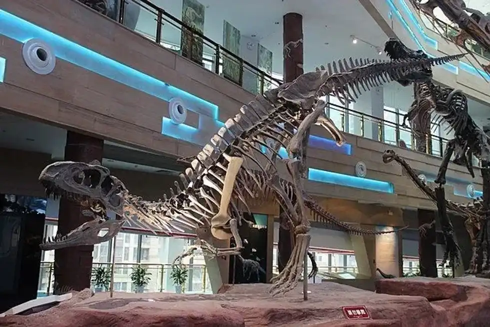 Read amazing Sinraptor facts about this genus of dinosaurs from the late Jurassic period.
