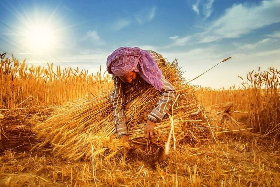 Read cool harvest festival facts which are celebrated across the world.