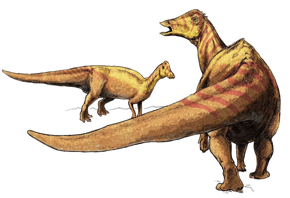 Read fun facts about Nipponosaurus.