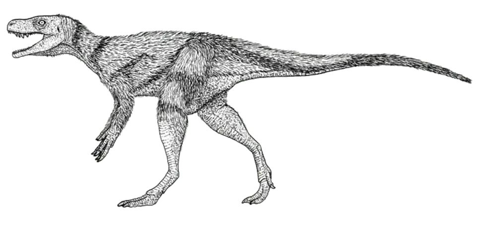 Read further to discover some awesome Chindesaurus facts!