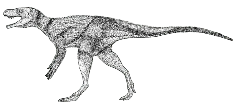 Read further to discover some awesome Chindesaurus facts!