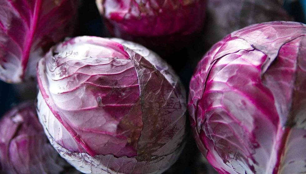 read if cabbage is good for your health