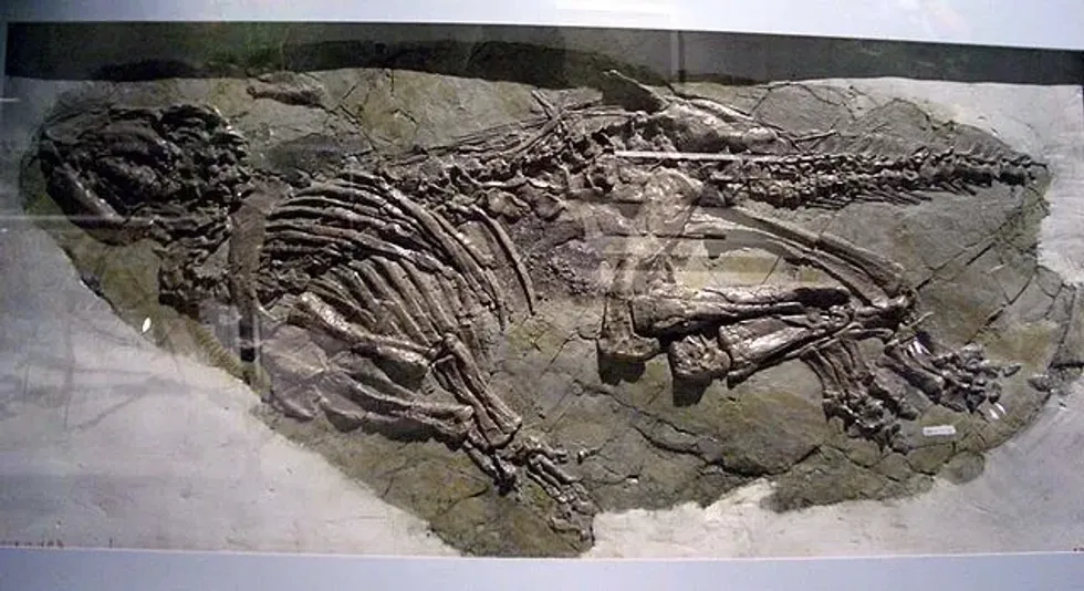 Read in this article some awesome Jinzhousaurus facts.