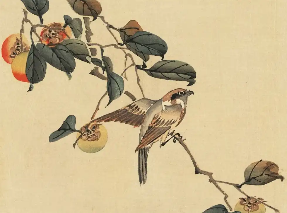 Read interesting Japan art facts, including the different forms of art and their history.