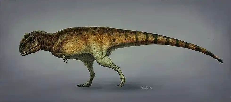 Read more fun and amazing Sauroniops facts here.