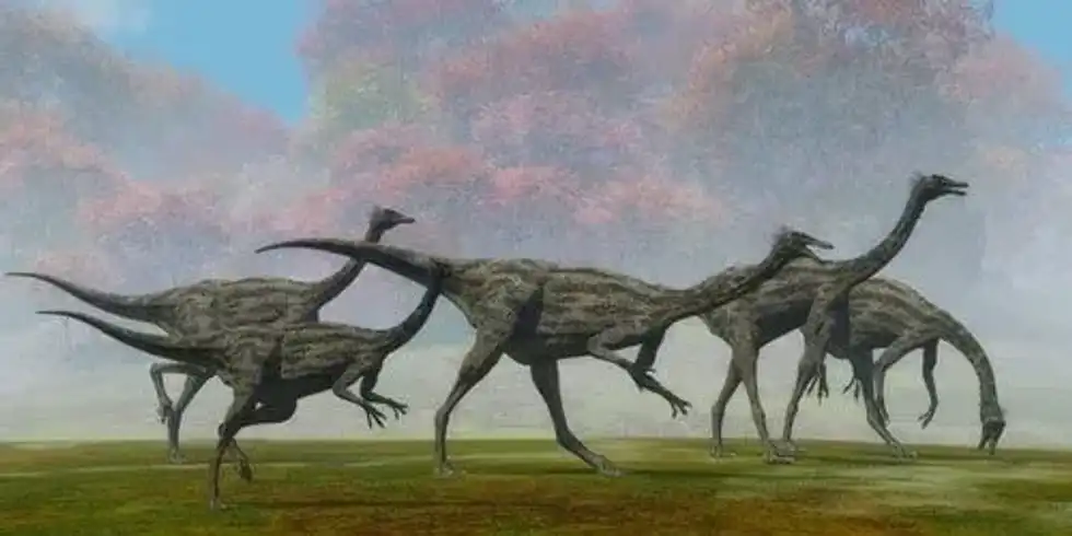 Read more fun and interesting Harpymimus facts here.