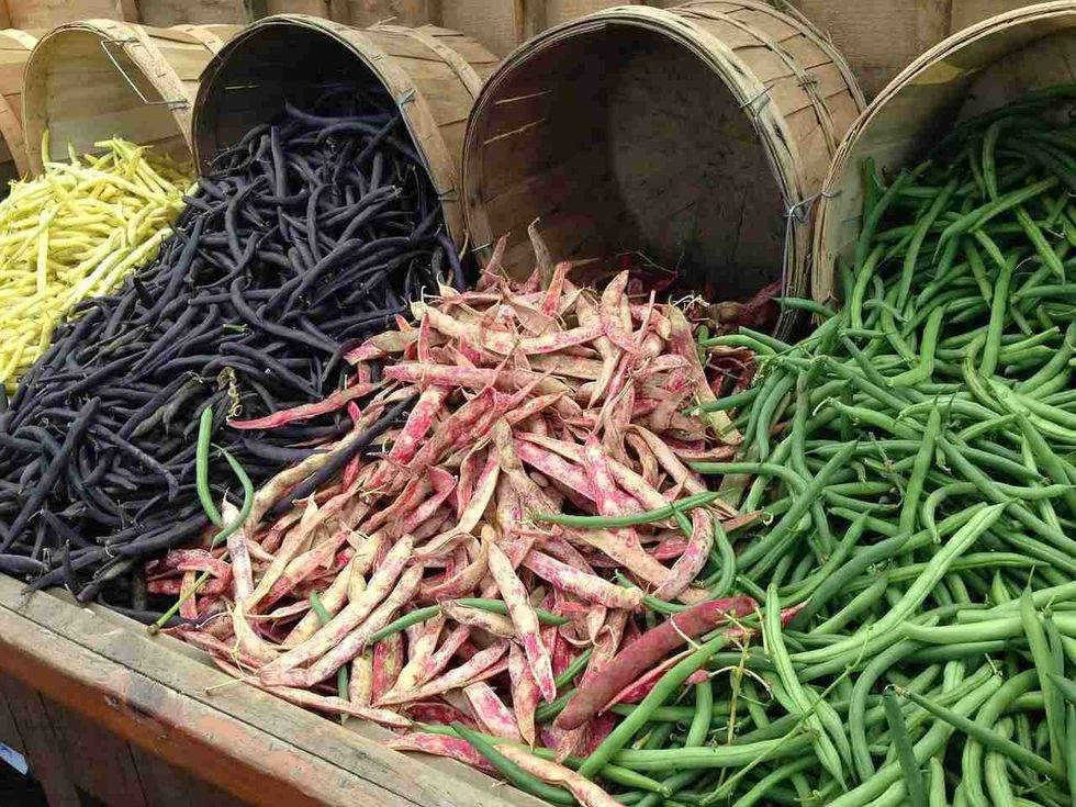 Read more to know if beans grow on trees and other facts.