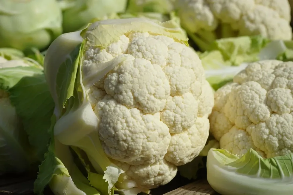 Read on to find out cauliflower fun facts!