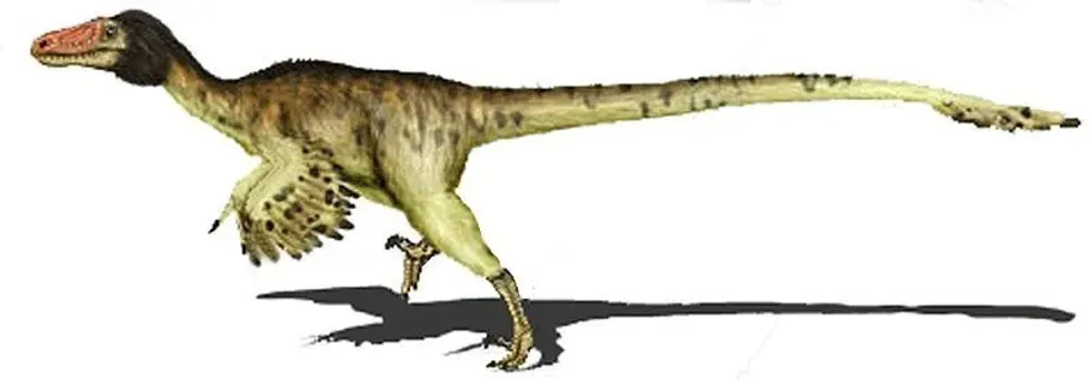 Read some amazing Adasaurus facts here.