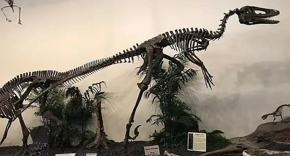 Read some amazing Dakotaraptor facts in this article.