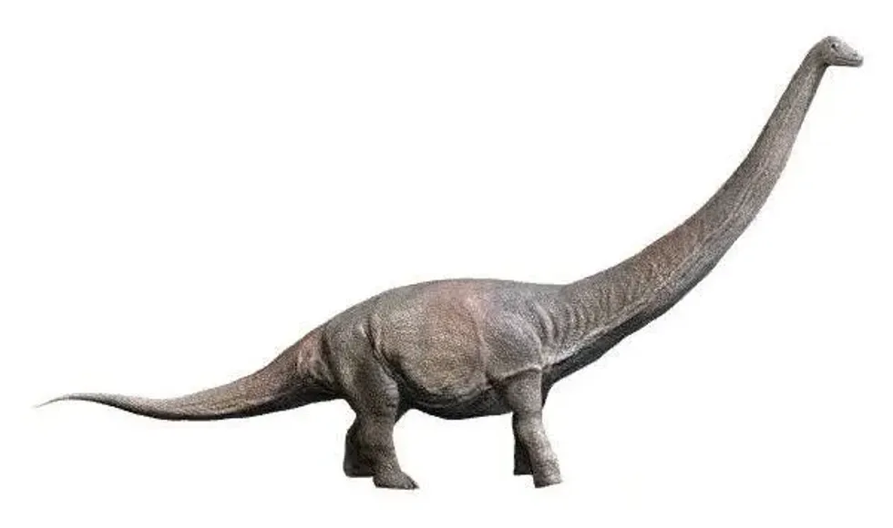 Read some amazing Dreadnoughtus facts to learn more about this incredible dinosaur species that lived in the late Jurassic period.
