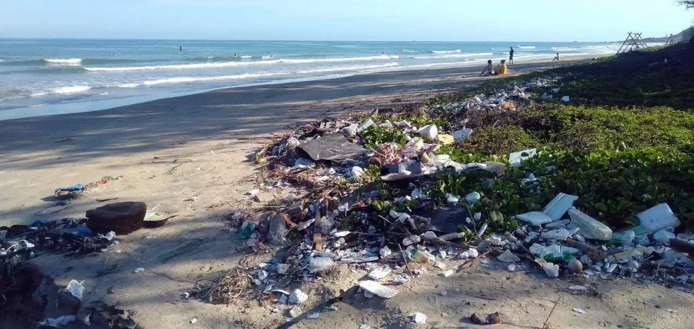 Read some beach pollution facts here.