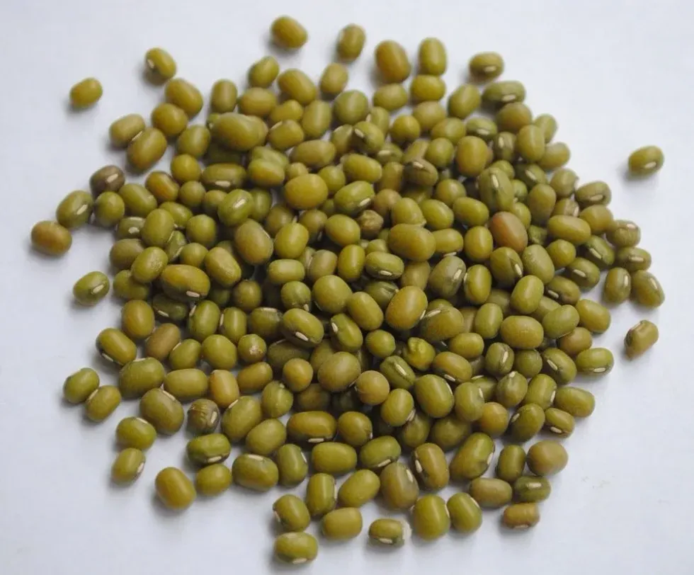 Read some mung bean facts here.