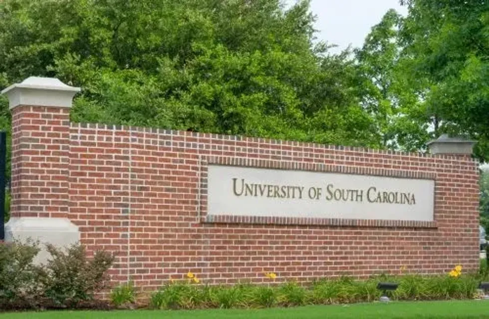 Read some University of South Carolina facts to know if the Columbia campus should make it to your list of prospective colleges.