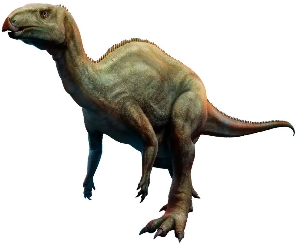 Read the following Camposaurus facts.