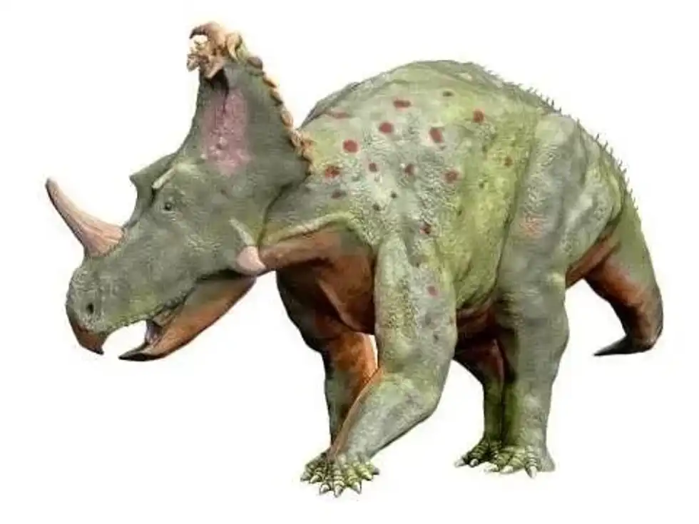 Read these absolutely amazing 17 Coronosaurus facts that will feed your curiosity.