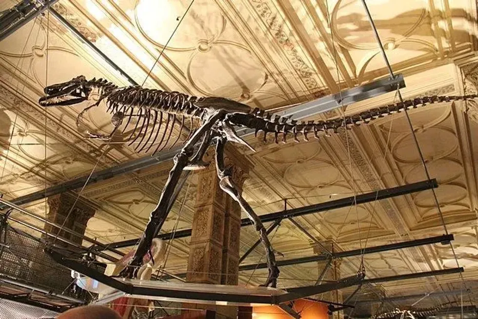 Read these Aerosteon facts to explore more about this dinosaur.