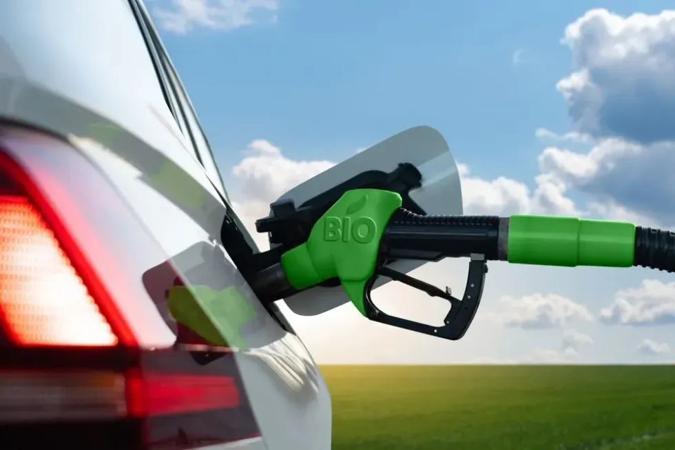 Read these amazing biodiesel facts that will blow your mind and make you fall in love with this biofuel.