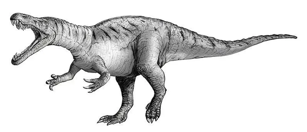 Read these amazing Cristatusaurus facts.