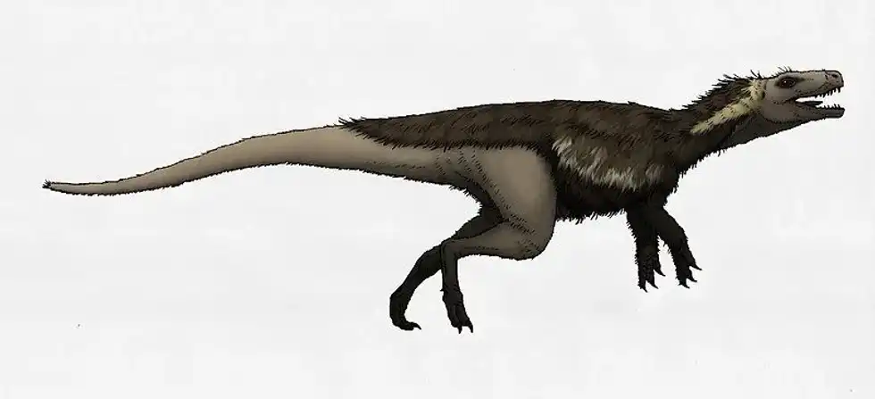 Read these amazing Gnathovorax facts.