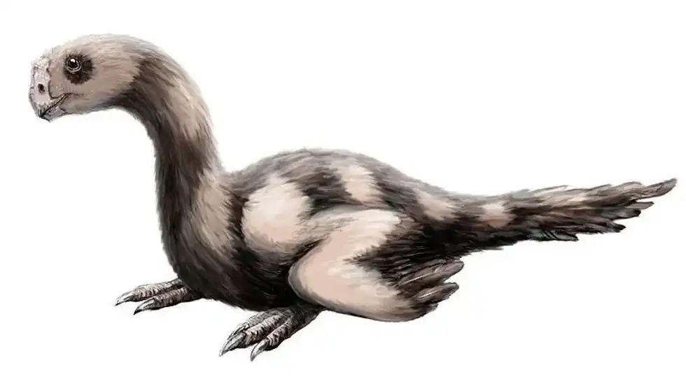 Read these amazing Microvenator facts.