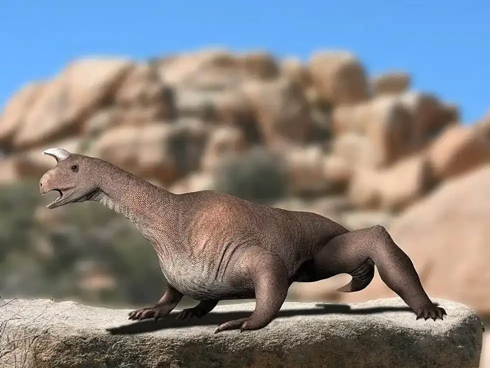 Read these Azendohsaurus facts to learn about these Late Triassic period archosauromorph reptiles.