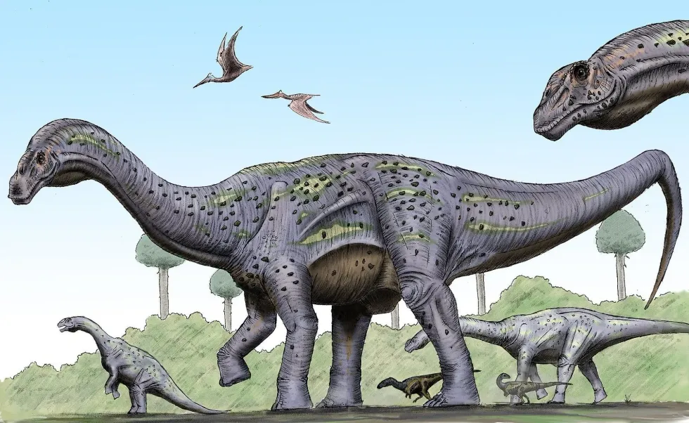 Read these fascinating amazing facts about the Argyrosaurus for kids that you are sure to love.