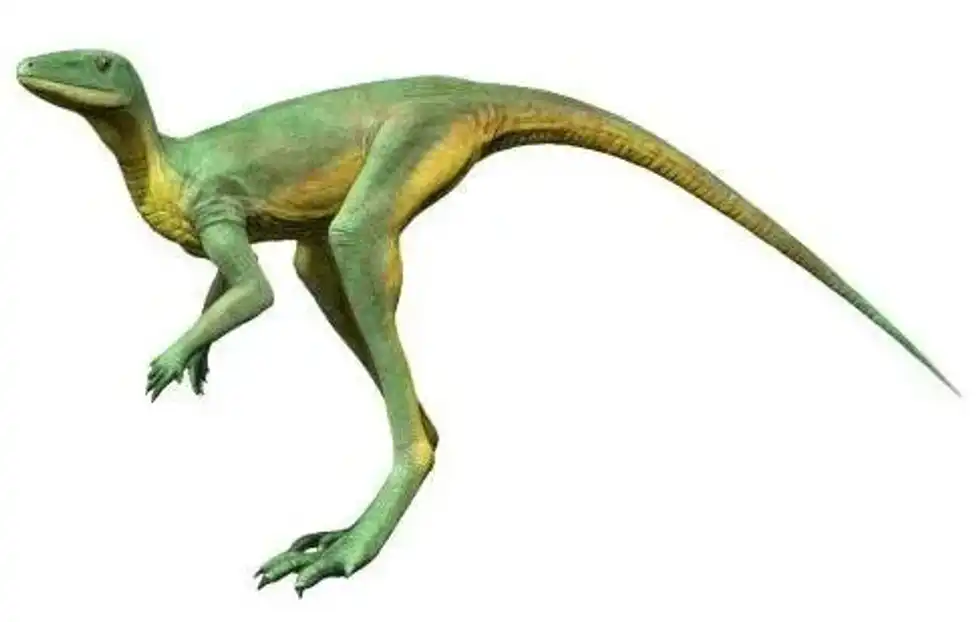 Read these fascinating, amazing facts about the Lagerpeton for kids that you are sure to love.