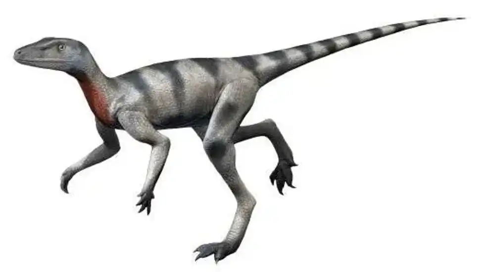 Read these fascinating amazing Saltopus facts for kids that you are sure to love