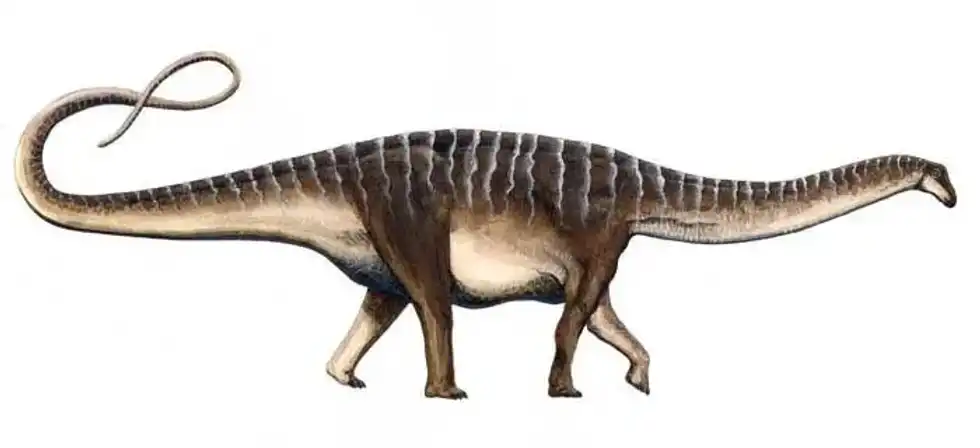 Read these fascinating and amazing Amazonsaurus facts for kids that you are sure to love.