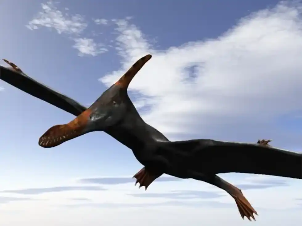 Read these fascinating Caulkicephalus facts for kids that you are sure to love.