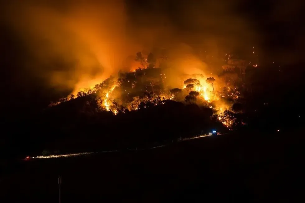 Read these firenado facts to know how wind helps to form the vortex of a firenado!