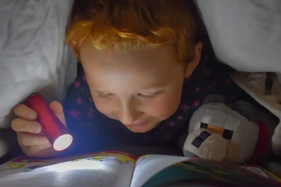 Read these flashlight facts to know which light bulb is used in flashlights.