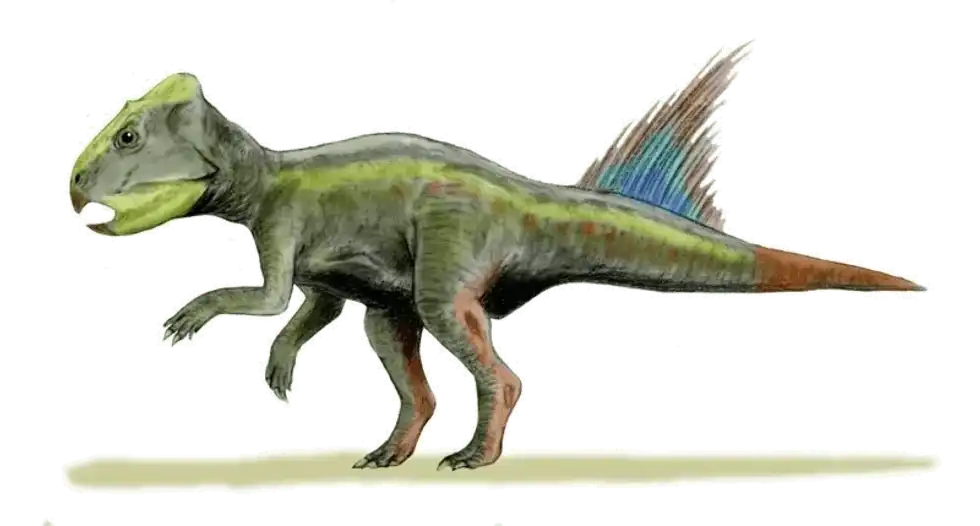 Read these fun and interesting Liaoceratops facts about this ceratopsian dinosaur that lived in the Early Cretaceous period.