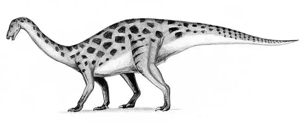 Read these fun Erlikosaurus facts to explore more about this Cretaceous time period small-sized dinosaur.