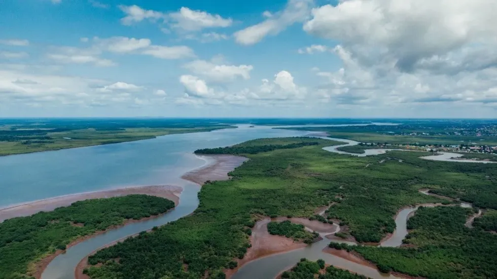 Read these fun facts about estuaries to know how they are important for the economy of your nation!