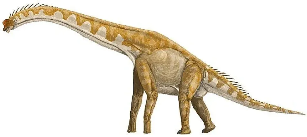 Read these Giraffatitan facts to know these dinosaurs from the Late Jurassic period.