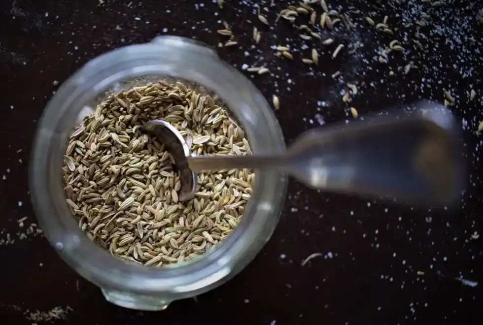 Read these interesting cumin facts that can provide you with a complete overview of the spice.