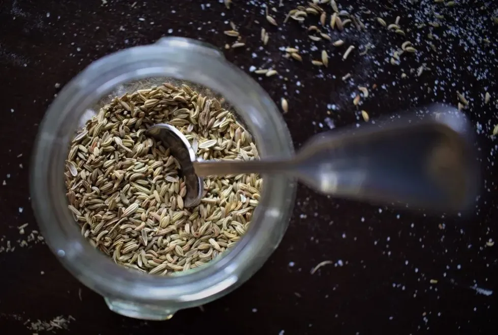 Read these interesting cumin facts that can provide you with a complete overview of the spice.