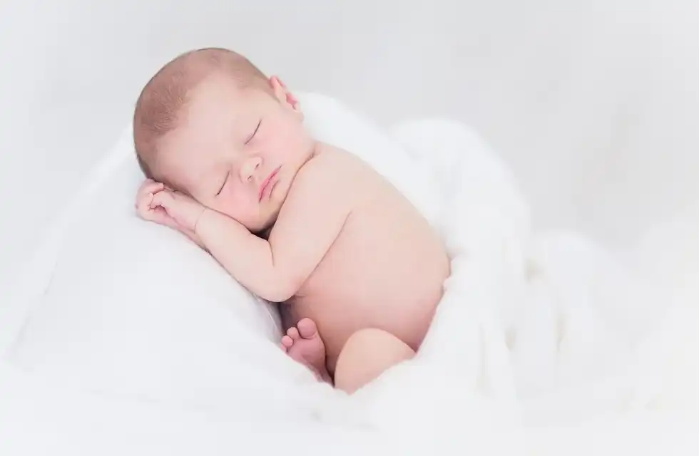 Read these interesting zygote facts here at Kidadl.